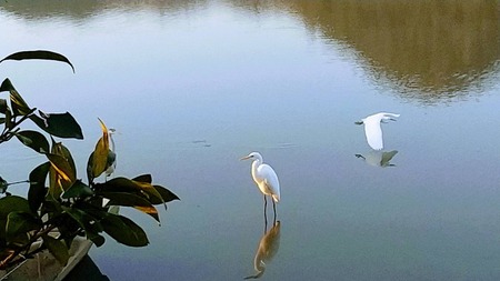 85811791-19CD-4489-AB35-CEA111076170