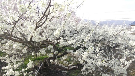 1F861012-B6BA-4931-9437-DA0DC979A9B6