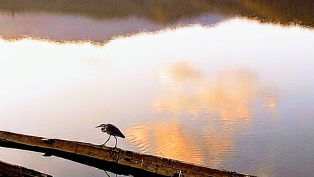 82617566-FBD1-4326-987D-32FFC6442614