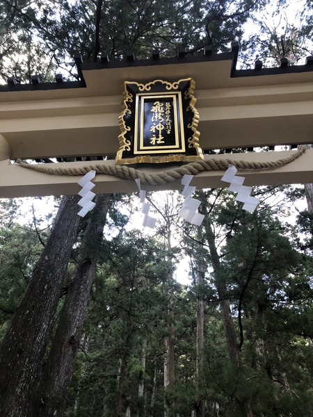 DA0E8CA4-3935-4F89-8996-5260B539065D