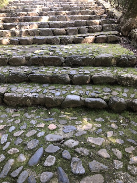 4ABB0DDA-860B-46CE-A73B-9C5C30056929