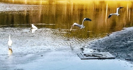 E241A992-537C-43FC-AB33-C0C77254D9A8