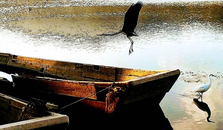 4D2CD88F-E263-4B38-938C-04C03F0D170B