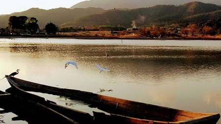 A5072E3E-D409-4937-8BAE-94C64C394833