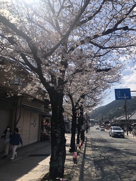 1A7A394A-28C7-485D-9BE8-9782ACBD9009