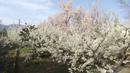 9AB4AA61-E1AA-473D-A3D9-6C330DE74E68