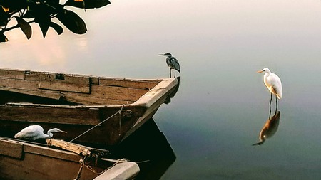 43720964-EB59-4CEB-AA0D-18E7FCDAF8F9