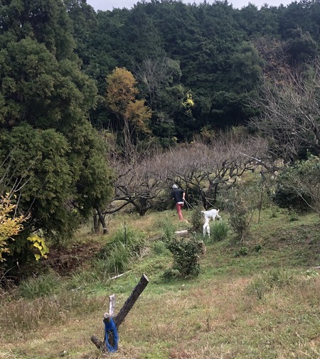 466E509B-1848-4C58-87E4-A09040C5391F