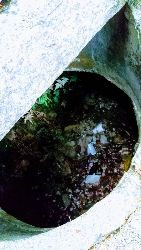 C25128F8-97FE-487A-A7E6-56CC0F3624B4