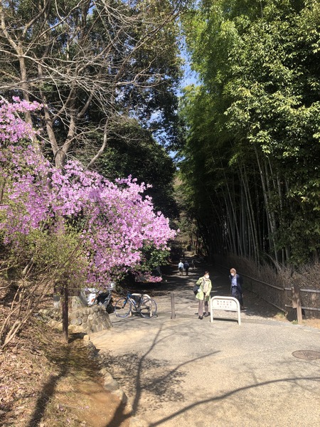 97A6F246-5D62-417B-A16B-DD5CC500889A