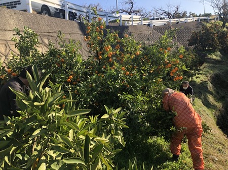 B196C100-5627-4CCF-A252-27CE63FCF6BE