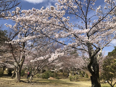 EACE9BDF-BFA9-443C-B700-F329FE24ADE4