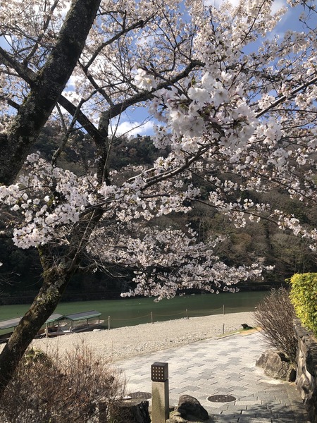 27DCF540-6C89-4C0C-AE3D-8E5E9668D7D6