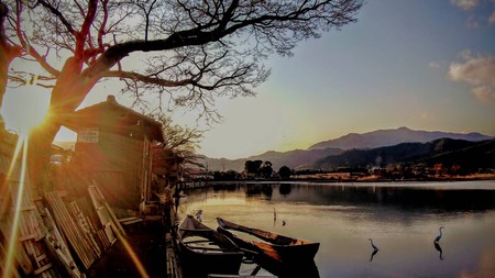 A86C21DC-4EC0-4099-8DD2-1FD2429CF15B