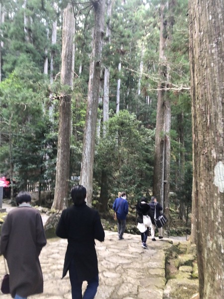 07C43BE1-B8A7-48B9-88BE-77DC460B24D4