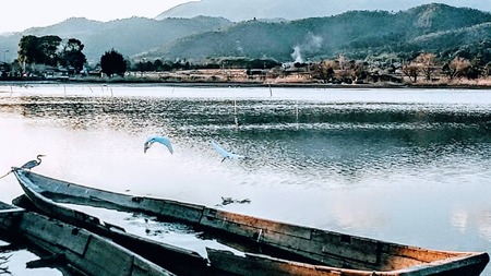 F100B024-374F-429D-9A21-82E2BE3FA968