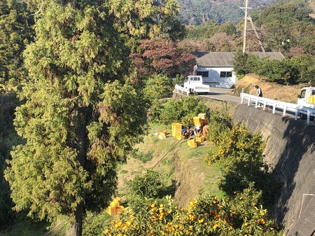 B747822E-9CFC-4BA3-A424-C556DB97953F