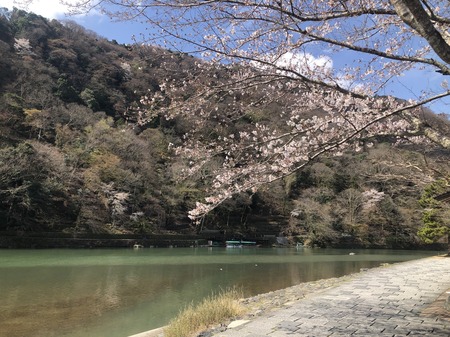 AE65232B-FA26-410C-AB91-B8AED5F0AB00