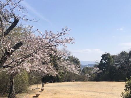 3F4BAB45-AFD4-47A8-9505-338D109B587A