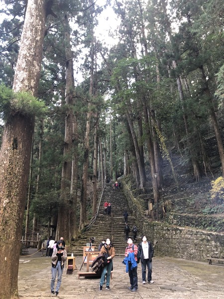 FC58DD7F-BFDE-4602-835B-B80A6E5ABF1C