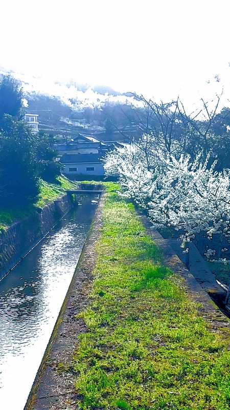 6BB6219E-12A9-430B-BA0E-48E913131239