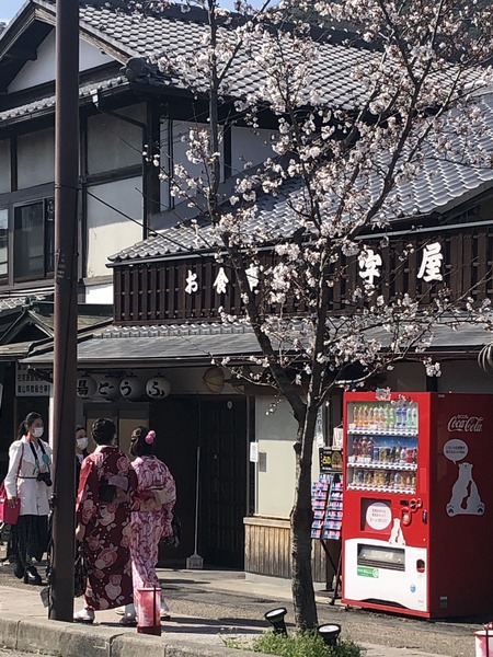 EDBE5868-C425-4810-AD7F-5A8499EA9CA9