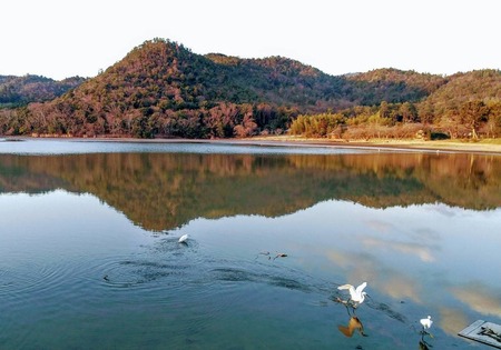 0ABF8CBE-3877-4DFD-A5A3-D35965E03ABC