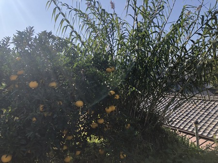 417C2051-60DA-42D6-A936-2B720E1C8013