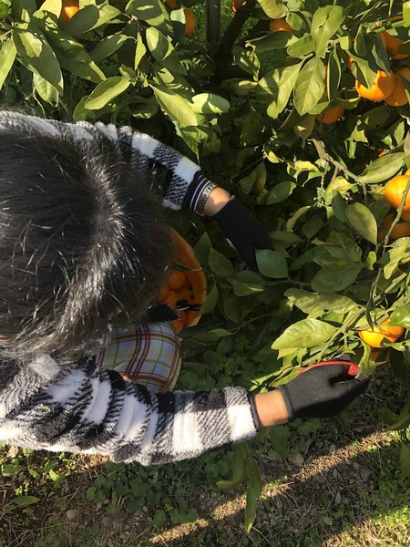 9BD5CBE0-1228-4B84-A920-EDBE5F1C00B5