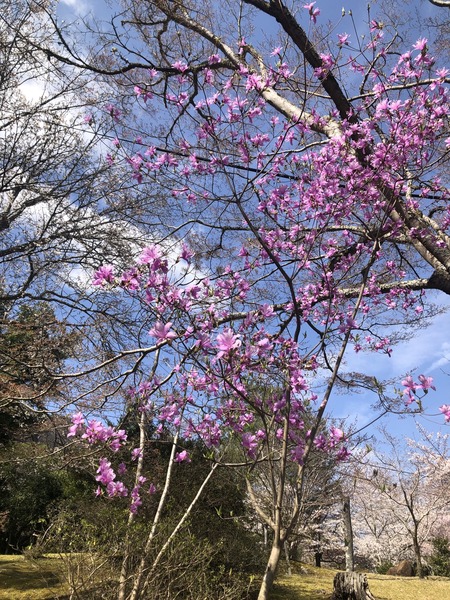 BB879C6D-5500-4CDF-8411-D5BE4960467D