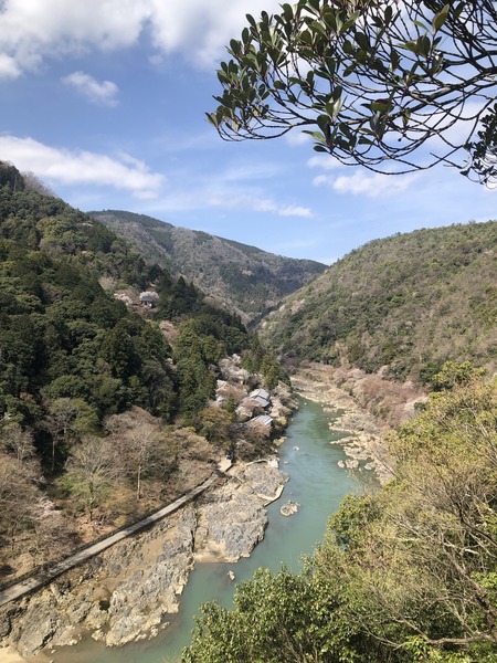 C7948215-0CC0-48C6-9244-9A67C47528ED