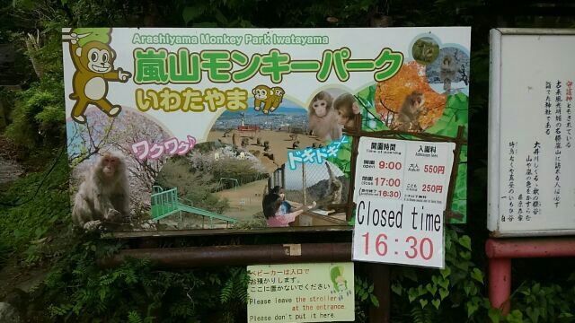 嵐山モンキーパーク アルファベットの願い絵馬 を猿山に見た カウンセラー小林ひかる 風と海ぶどう ディープな格安生活