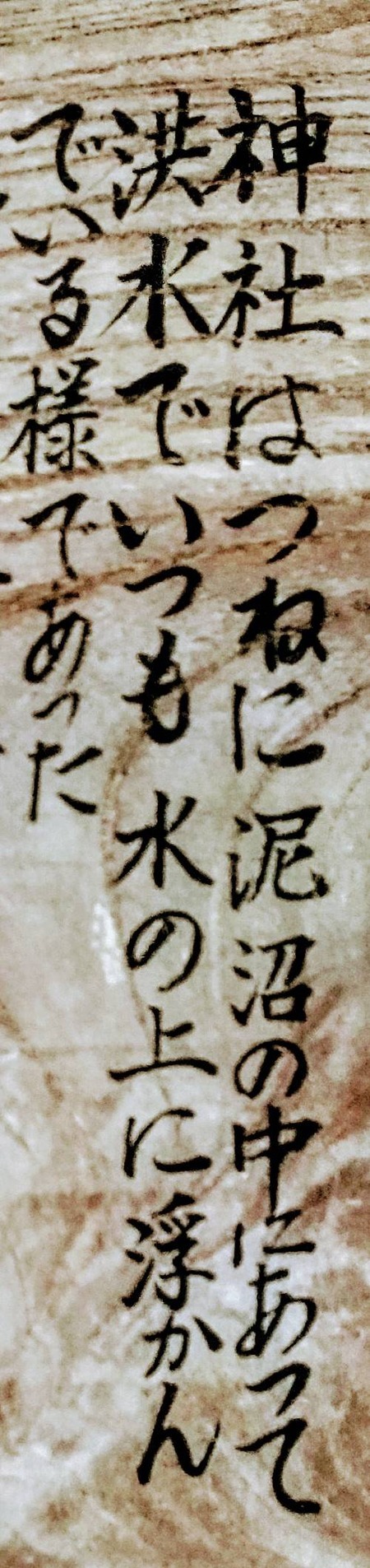 C8D3DD81-FE65-4C45-B218-28283FADBD49