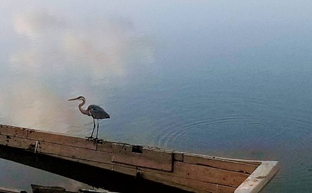 292EF5CF-96FD-4C10-A166-41754E3C64B9