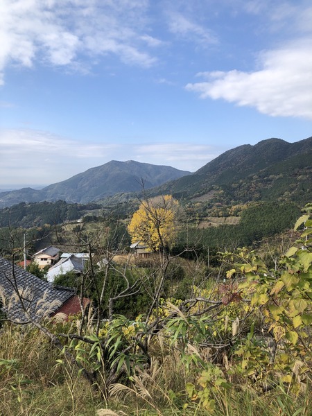 25CE589E-1076-4253-947A-24615D5A27AF