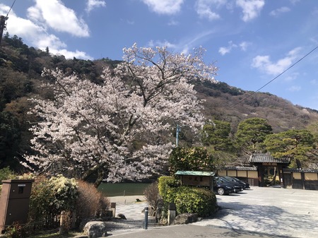 099B0C2F-43FA-4697-A621-FB9920458809