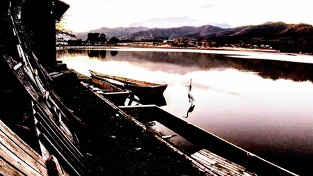 D20CAF70-1E3C-4C47-9736-5BF4B48C28E9