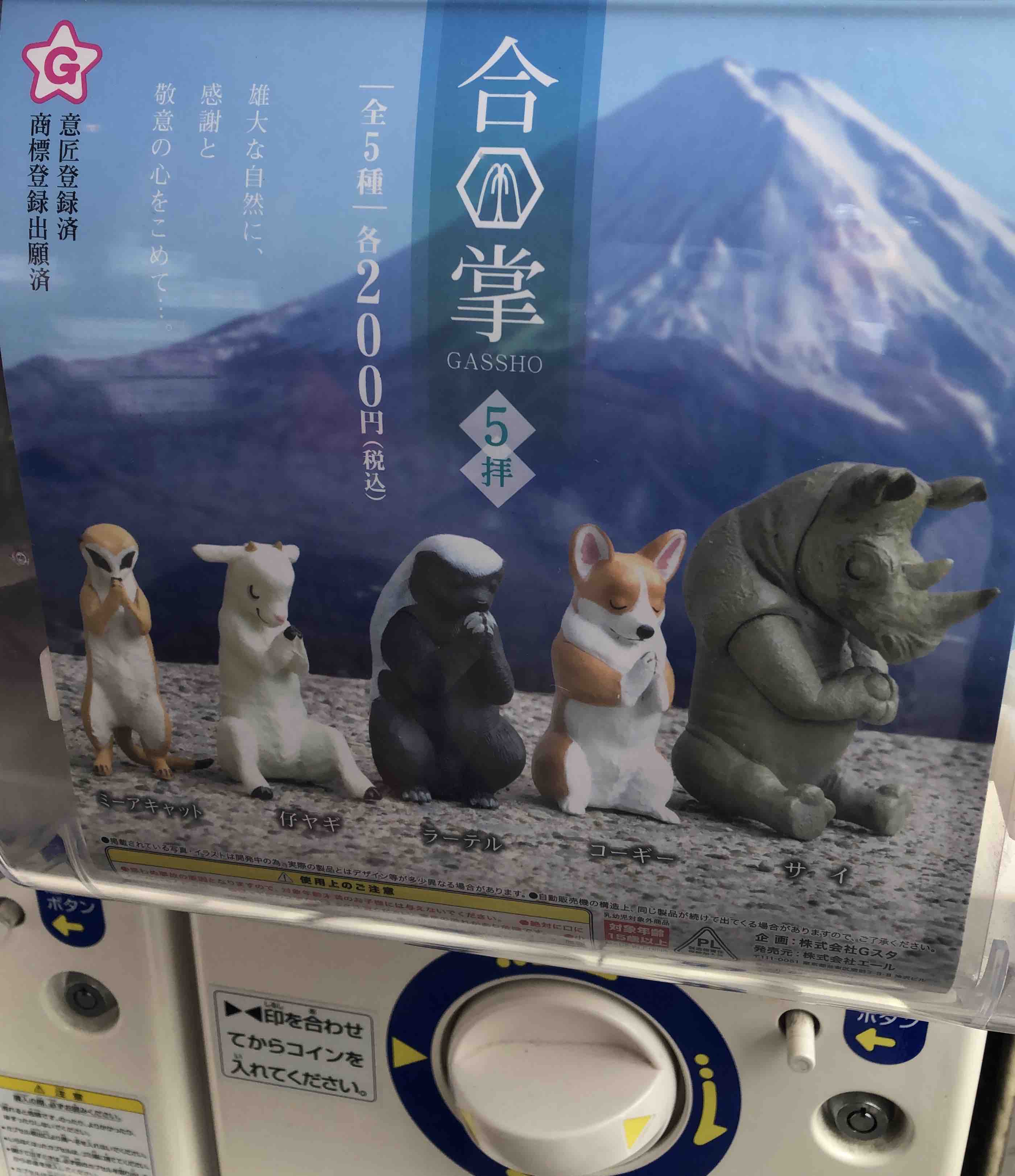 アイデアが光る 今時のガチャポン カウンセラー小林ひかる 風と海ぶどう ディープな格安生活 アイデアが光る 今時のガチャポン カウンセラー小林ひかる 風と海ぶどう ディープな格安生活
