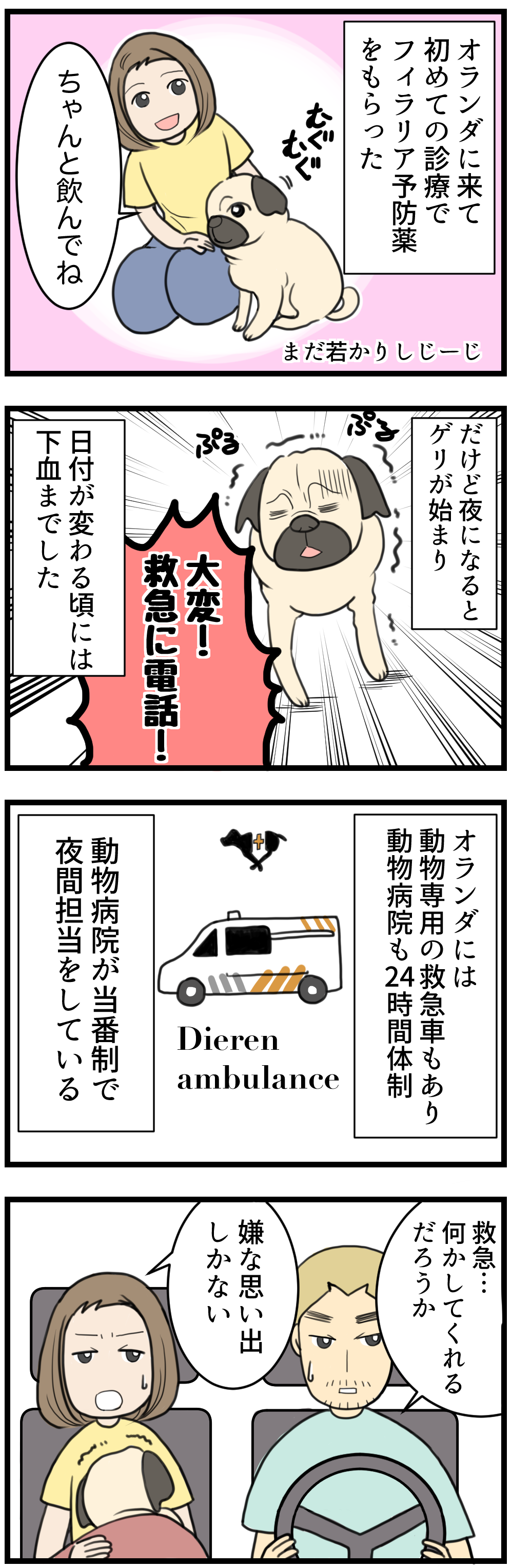 病院 オランダの救急へ行ったとき じーじ わんこ の場合 ひかさん一家でゴゴッゴッー