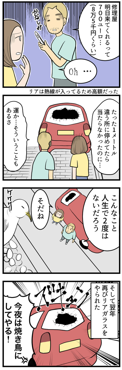 51