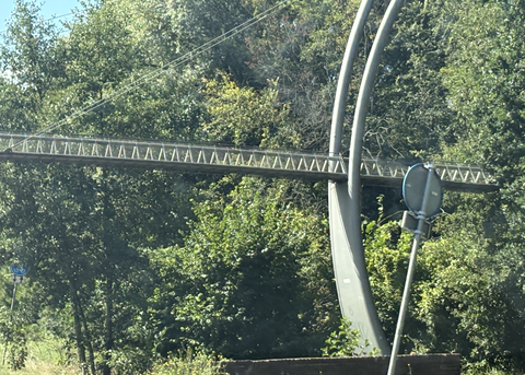 リス橋5