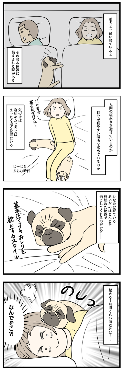 ひなたの寝相１
