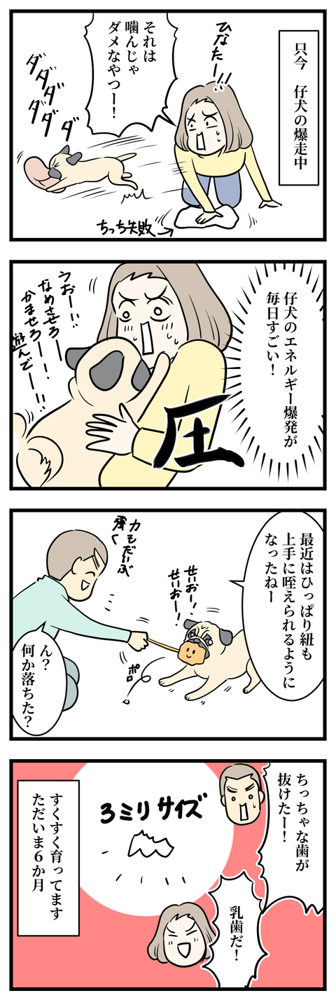 ひなた成長1