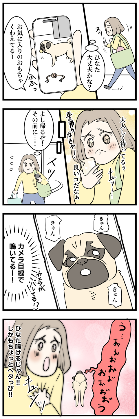 ひなたの鳴き方にちょっぴりうれしい2