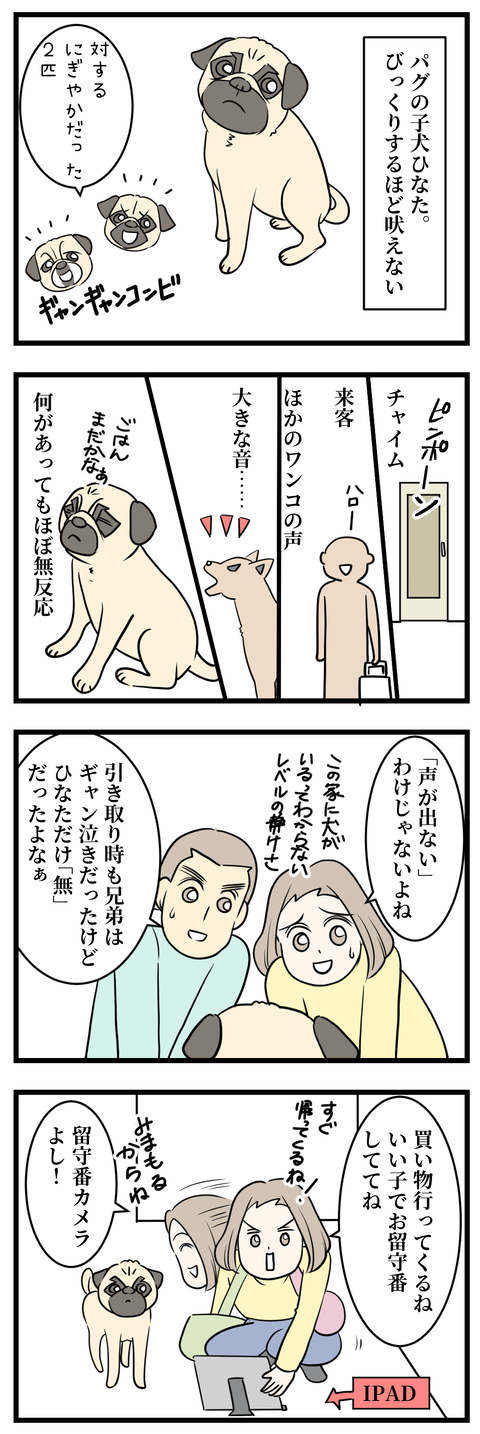 ひなたの鳴き方にちょっぴりうれしい1