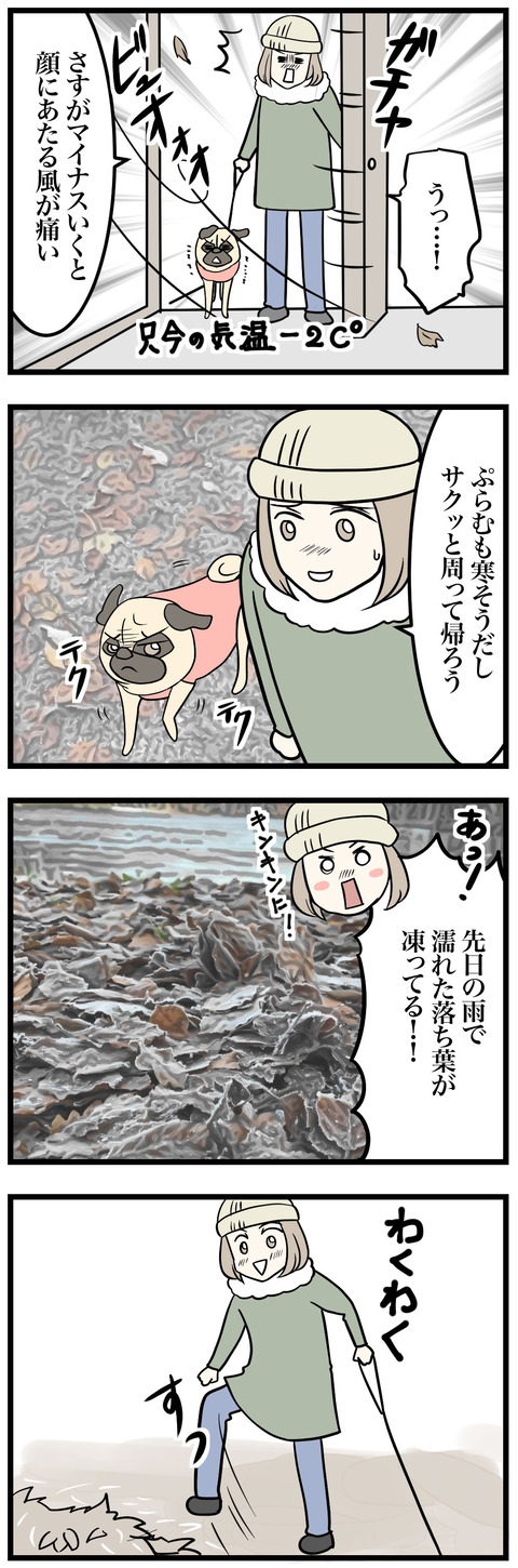 905-1