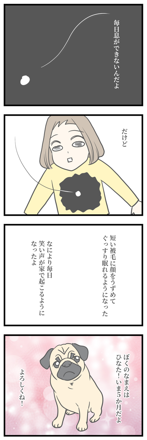 ぼくひなた2