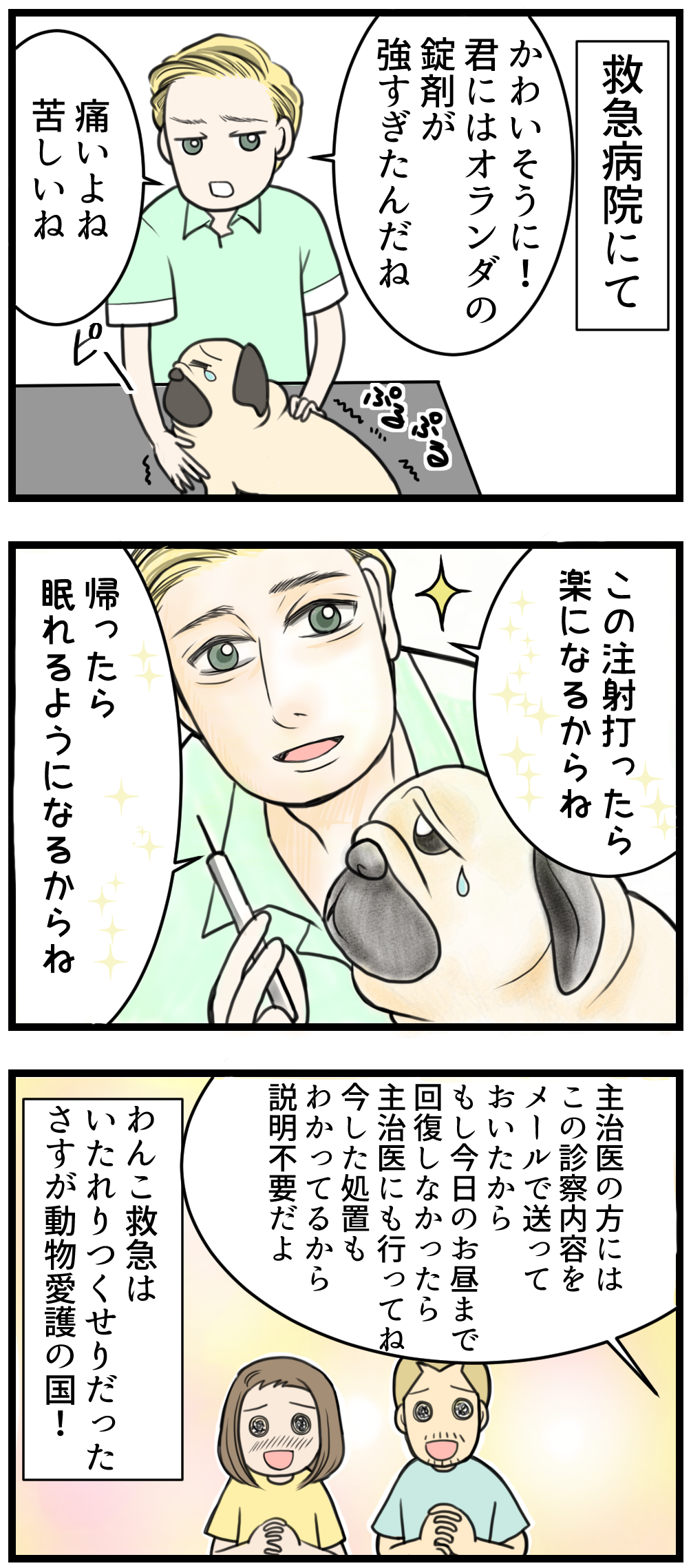 病院 オランダの救急へ行ったとき じーじ わんこ の場合 ひかさん一家でゴゴッゴッー