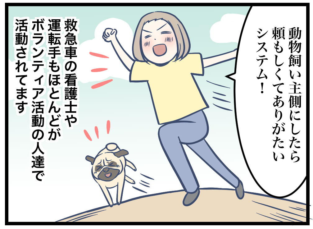 オランダの動物専用救急車お話 ひかさん一家でゴゴッゴッー Powered By ライブドアブログ