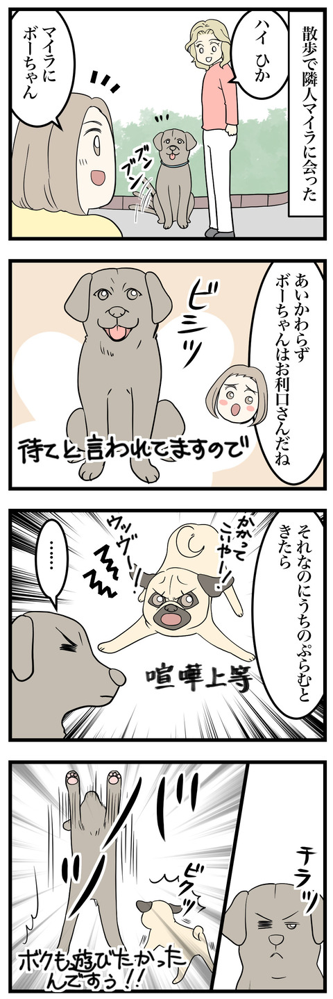02-1